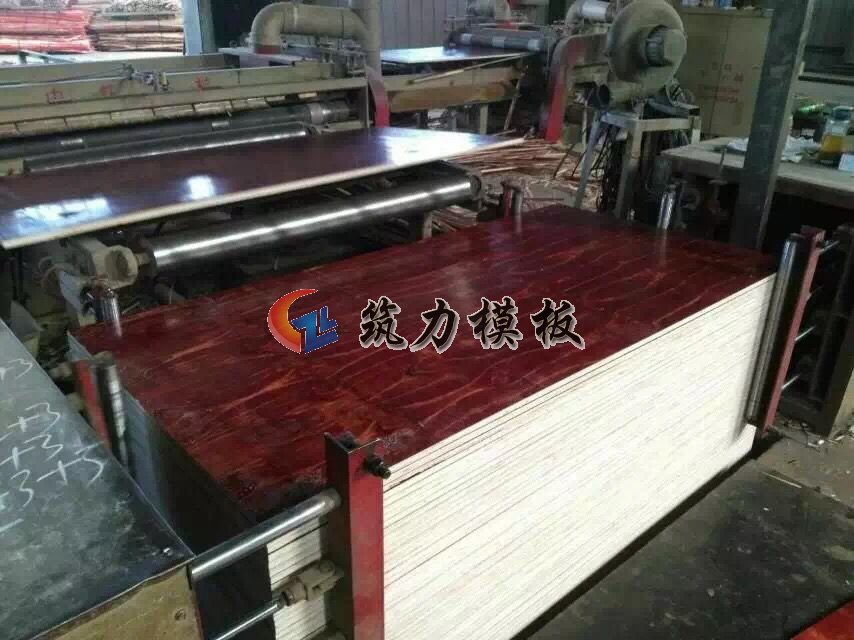 沭陽縣根本木業(yè)是專業(yè)生產建筑模板的廠家
