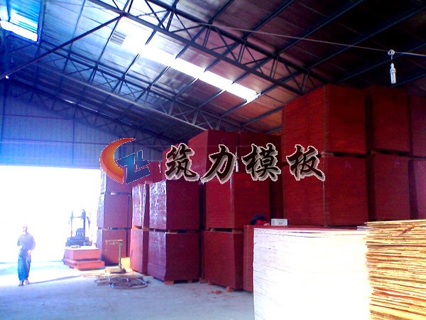沭陽(yáng)根本木業(yè)是專業(yè)生產(chǎn)清水建筑模板，酚醛膠建筑模板廠家